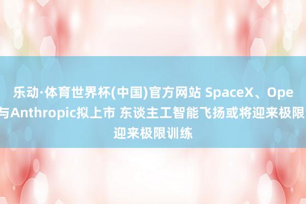乐动·体育世界杯(中国)官方网站 SpaceX、OpenAI与Anthropic拟上市 东谈主工智能飞扬或将迎来极限训练