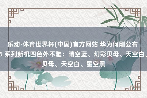 乐动·体育世界杯(中国)官方网站 华为何刚公布 nova 16 系列新机四色外不雅:晴空蓝、幻彩贝母、天空白、星空黑