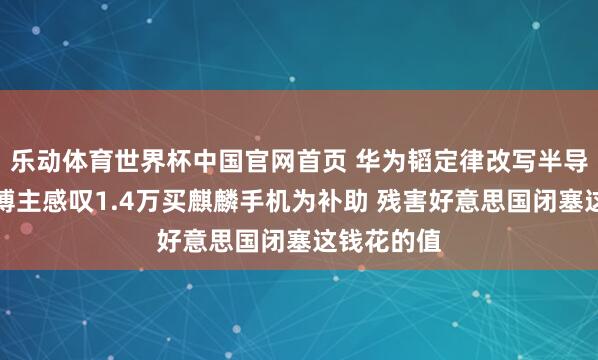 乐动体育世界杯中国官网首页 华为韬定律改写半导体次序!博主感叹1.4万买麒麟手机为补助 残害好意思国闭塞这钱花的值