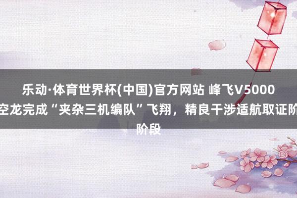乐动·体育世界杯(中国)官方网站 峰飞V5000天空龙完成“夹杂三机编队”飞翔,精良干涉适航取证阶段