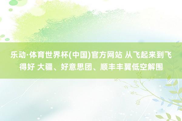 乐动·体育世界杯(中国)官方网站 从飞起来到飞得好 大疆、好意思团、顺丰丰翼低空解围