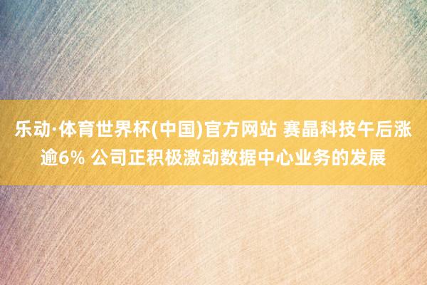 乐动·体育世界杯(中国)官方网站 赛晶科技午后涨逾6% 公司正积极激动数据中心业务的发展