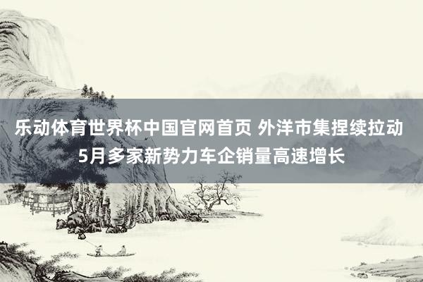 乐动体育世界杯中国官网首页 外洋市集捏续拉动 5月多家新势力车企销量高速增长