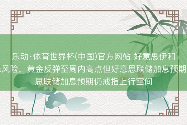 乐动·体育世界杯(中国)官方网站 好意思伊和平契约缓解地缘风险,黄金反弹至周内高点但好意思联储加息预期仍戒指上行空间